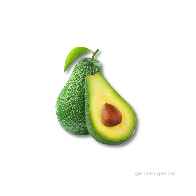 Avocado