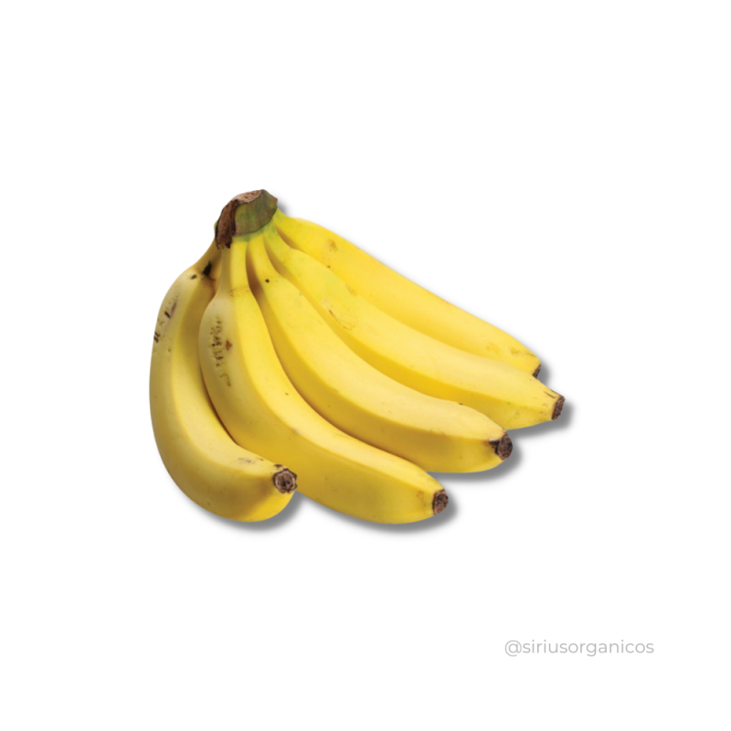 Banana Caturra