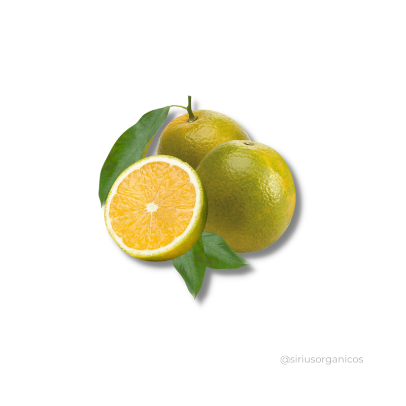 Laranja Pêra