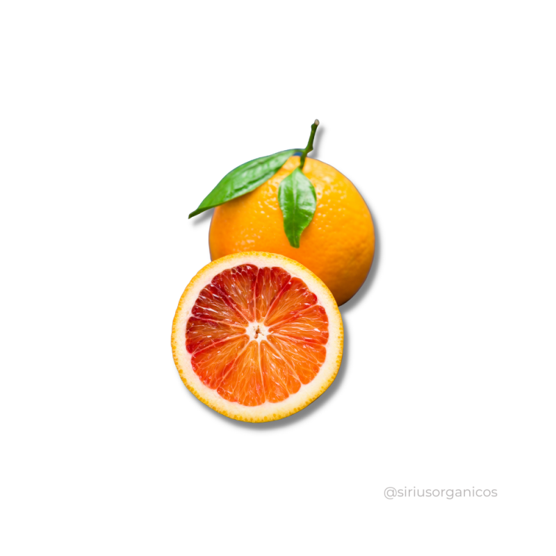 Laranja Sanguínea 