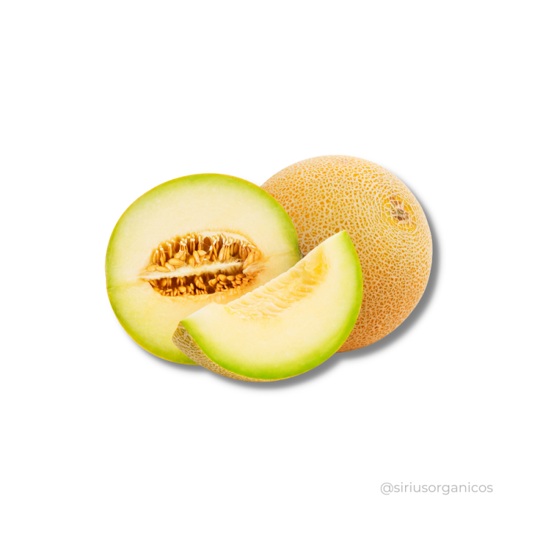 Melão Cantaloupe
