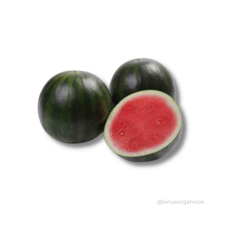 Mini Melancia Escura