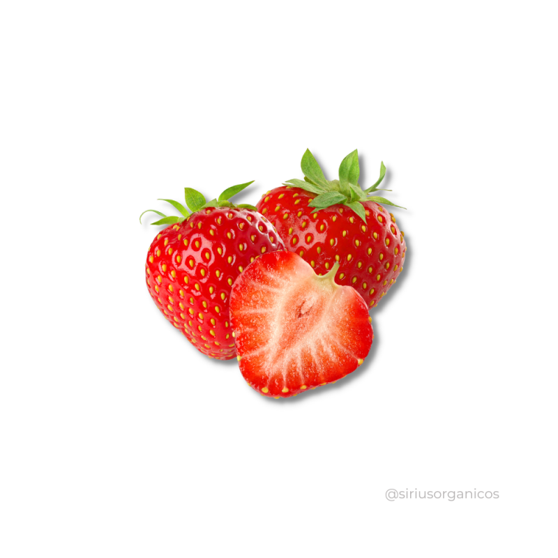 Morango