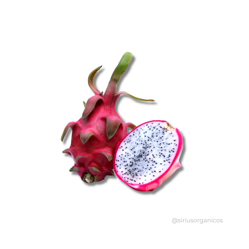 Pitaya Branca 