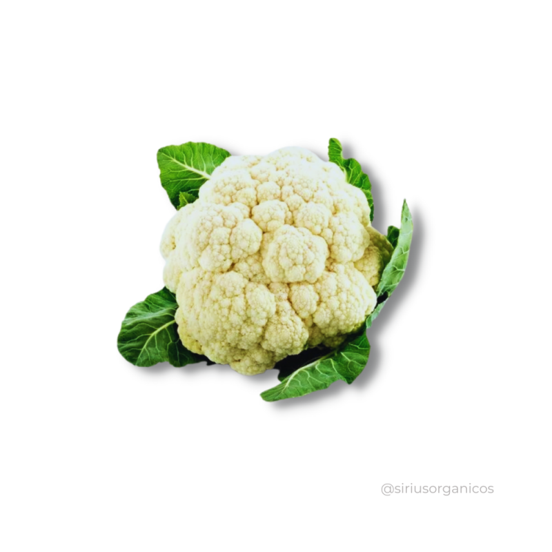 Couve Flor