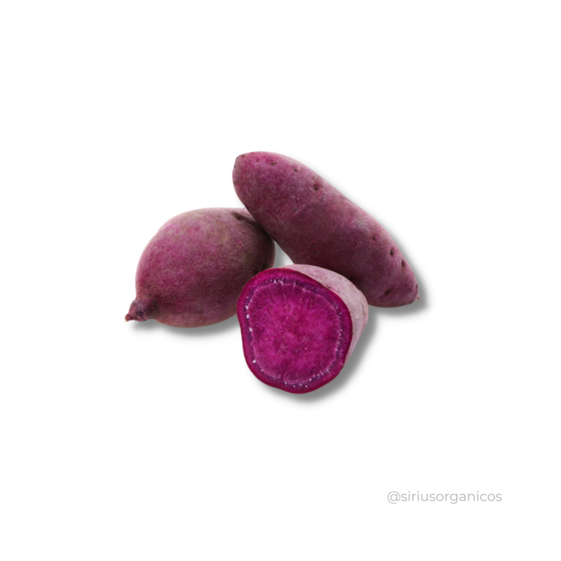 Batata Doce Roxa