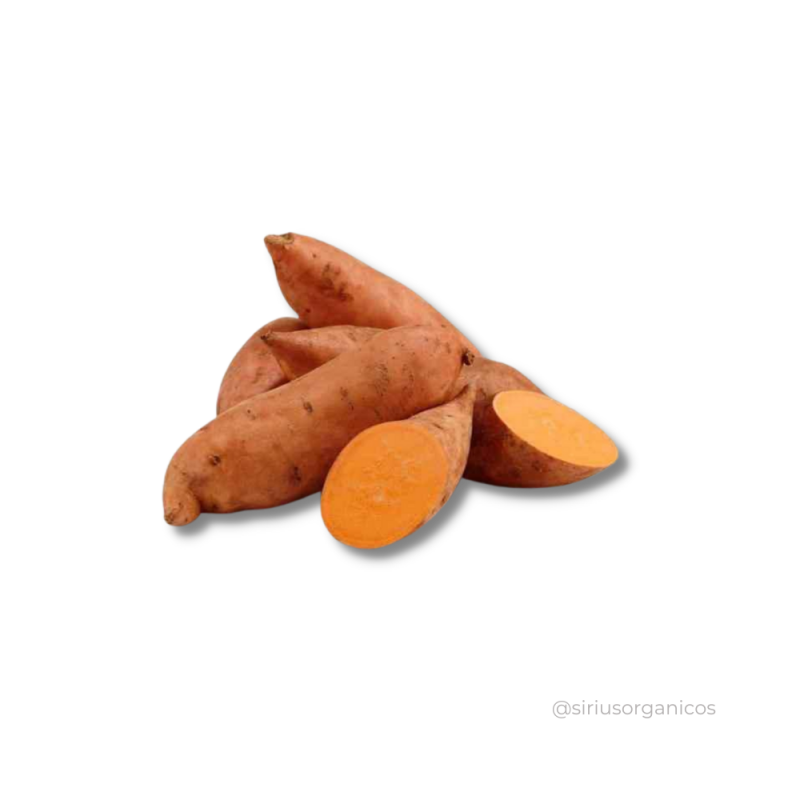 Batata Doce Salmão 