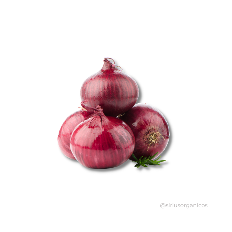 Cebola Roxa 