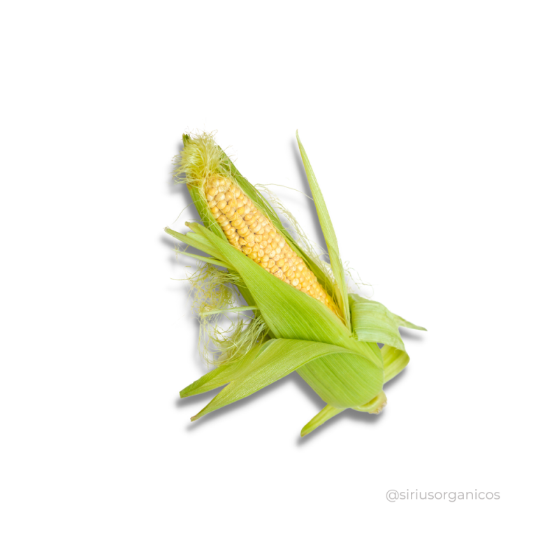 Milho Verde 