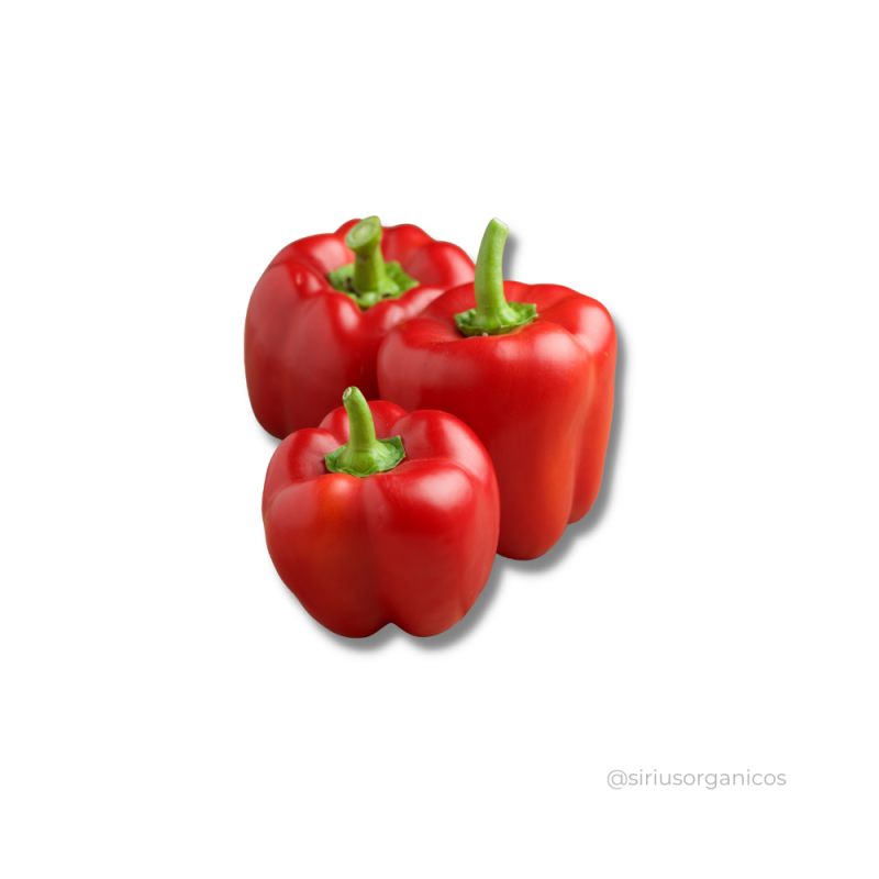 Pimentão Vermelho
