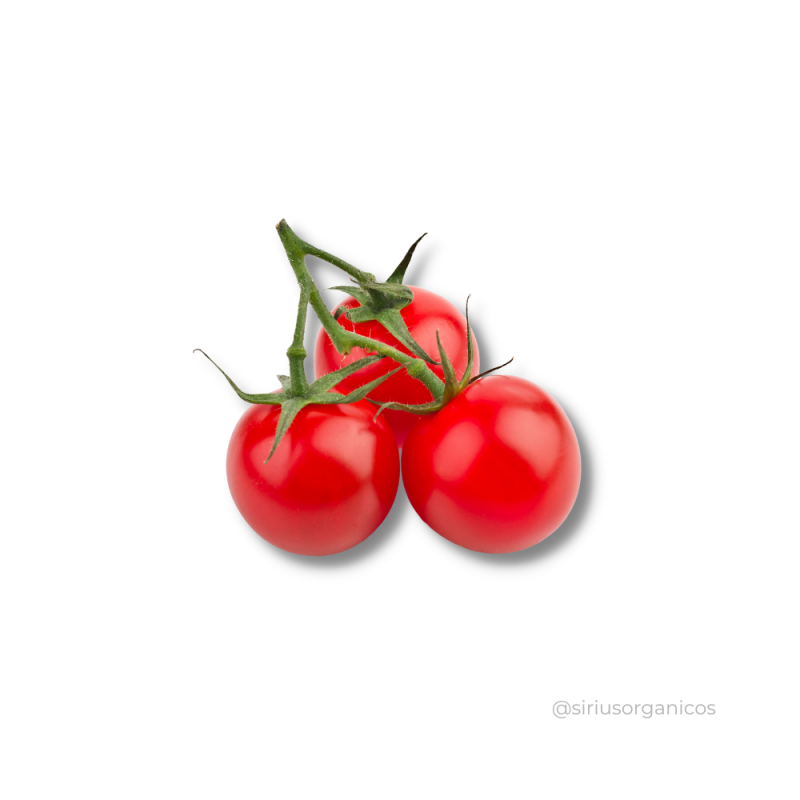 Tomate Cereja 