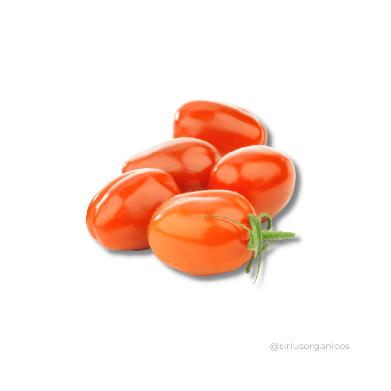 Tomate Italiano 